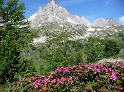 Vallée de la Clarée